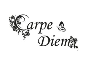 wandtattoo carpe diem inhalt