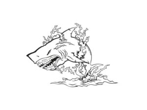 wandtattoo hai 002 inhalt
