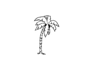 wandtattoo palme 002 inhalt