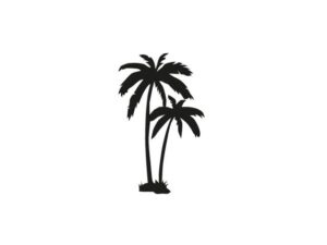 wandtattoo palme inhalt